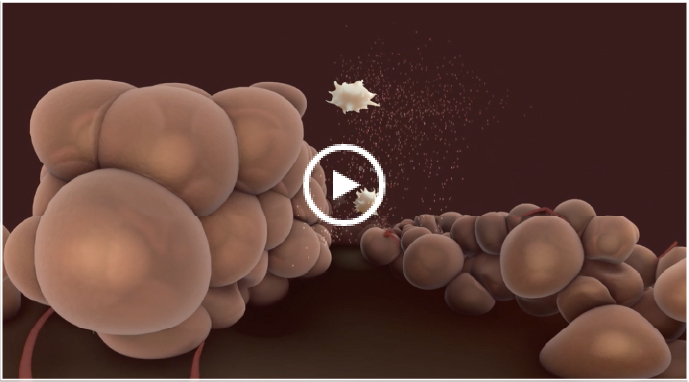 Illustration of endometrial cells